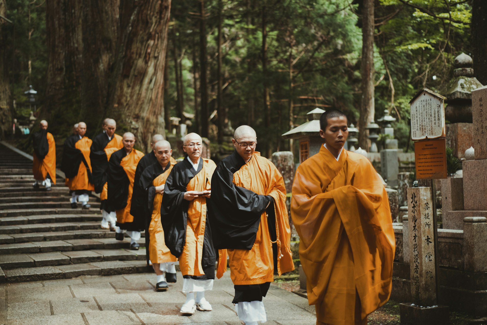 Monks in traditional orange robes on a forested path