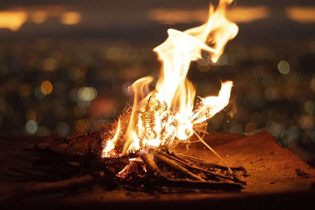Closeup of a small campfire with gentle flames